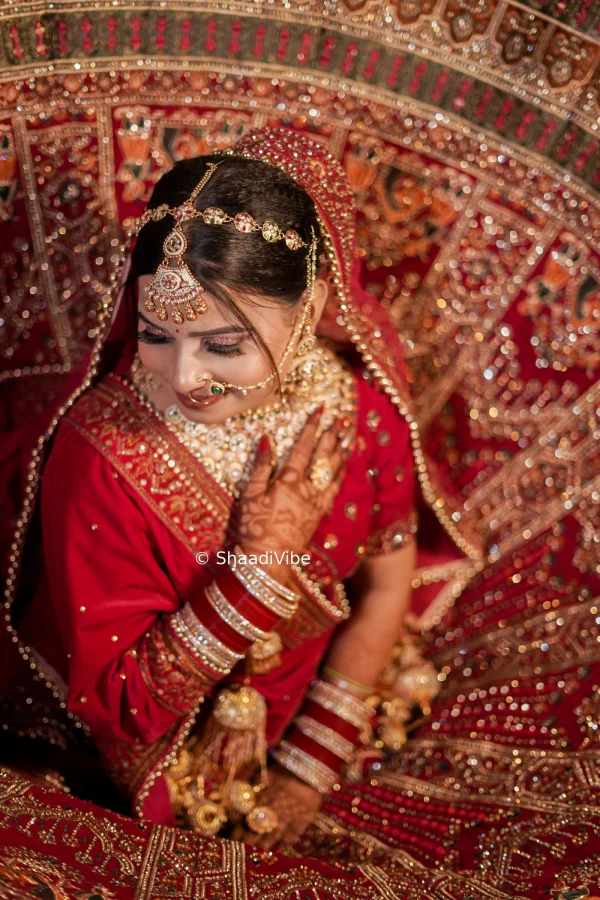 Graceful Indian bride portrait featuring a detailed bridal hairstyle, statement earrings and traditional wedding jewellery.